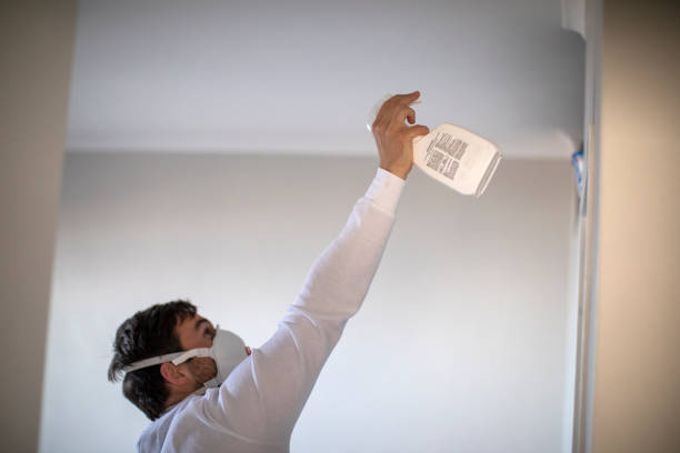 Best Residential Mold Removal  in Meraux, LA