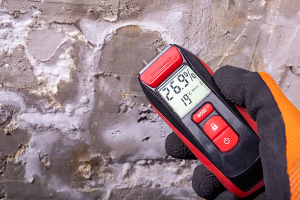 Best Mold Damage Repair  in Meraux, LA
