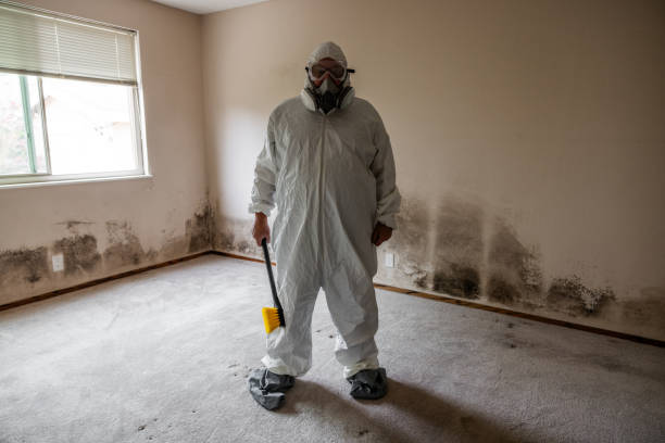 Best Residential Mold Removal  in Meraux, LA